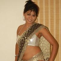 Hema Jelloju in saree Exclusive Hot Pictures | Picture 93336